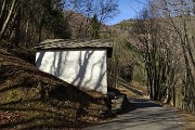 Ritorno al Monte Molinasco e al Ronco da Alino  passando per Ca’ Boffelli e Vettarola il 14 marzo 2019 - FOTOGALLERY